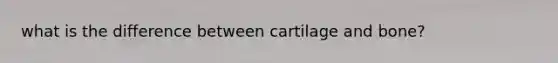 what is the difference between cartilage and bone?