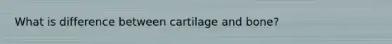 What is difference between cartilage and bone?