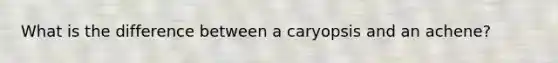 What is the difference between a caryopsis and an achene?