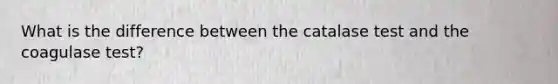 What is the difference between the catalase test and the coagulase test?