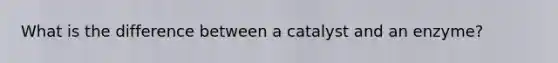 What is the difference between a catalyst and an enzyme?