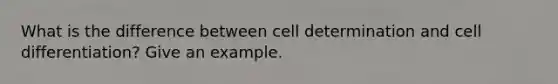 What is the difference between cell determination and cell differentiation? Give an example.