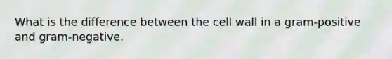 What is the difference between the cell wall in a gram-positive and gram-negative.