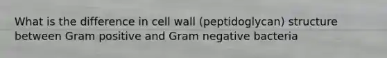 What is the difference in cell wall (peptidoglycan) structure between Gram positive and Gram negative bacteria