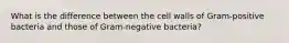 What is the difference between the cell walls of Gram-positive bacteria and those of Gram-negative bacteria?