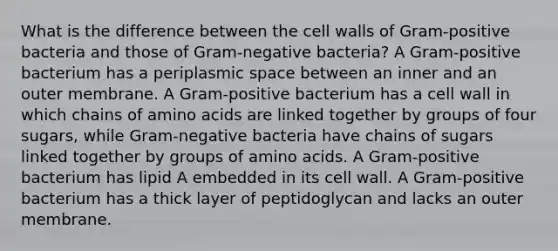 What is the difference between the cell walls of Gram-positive bacteria and those of Gram-negative bacteria? A Gram-positive bacterium has a periplasmic space between an inner and an outer membrane. A Gram-positive bacterium has a cell wall in which chains of amino acids are linked together by groups of four sugars, while Gram-negative bacteria have chains of sugars linked together by groups of amino acids. A Gram-positive bacterium has lipid A embedded in its cell wall. A Gram-positive bacterium has a thick layer of peptidoglycan and lacks an outer membrane.