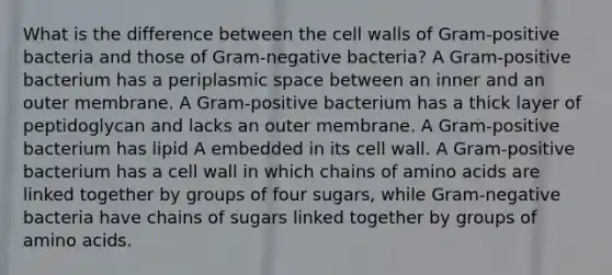 What is the difference between the cell walls of Gram-positive bacteria and those of Gram-negative bacteria? A Gram-positive bacterium has a periplasmic space between an inner and an outer membrane. A Gram-positive bacterium has a thick layer of peptidoglycan and lacks an outer membrane. A Gram-positive bacterium has lipid A embedded in its cell wall. A Gram-positive bacterium has a cell wall in which chains of amino acids are linked together by groups of four sugars, while Gram-negative bacteria have chains of sugars linked together by groups of amino acids.