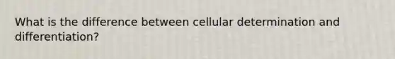 What is the difference between cellular determination and differentiation?