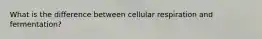 What is the difference between cellular respiration and fermentation?