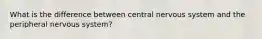 What is the difference between central nervous system and the peripheral nervous system?
