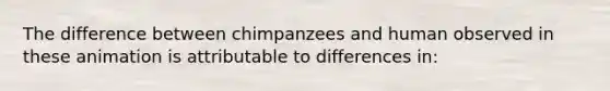 The difference between chimpanzees and human observed in these animation is attributable to differences in: