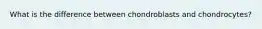 What is the difference between chondroblasts and chondrocytes?