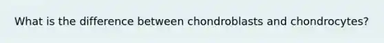 What is the difference between chondroblasts and chondrocytes?