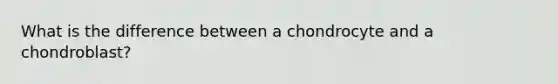 What is the difference between a chondrocyte and a chondroblast?