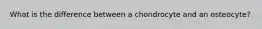 What is the difference between a chondrocyte and an osteocyte?
