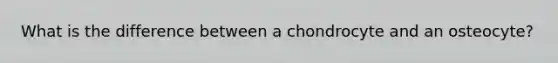 What is the difference between a chondrocyte and an osteocyte?