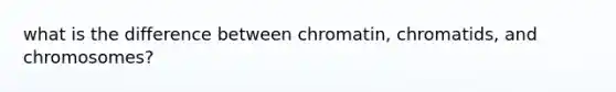 what is the difference between chromatin, chromatids, and chromosomes?