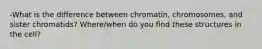 -What is the difference between chromatin, chromosomes, and sister chromatids? Where/when do you find these structures in the cell?