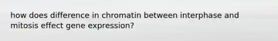 how does difference in chromatin between interphase and mitosis effect gene expression?