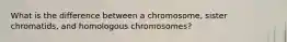 What is the difference between a chromosome, sister chromatids, and homologous chromosomes?