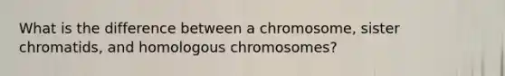 What is the difference between a chromosome, sister chromatids, and homologous chromosomes?