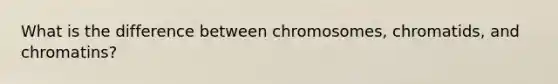 What is the difference between chromosomes, chromatids, and chromatins?