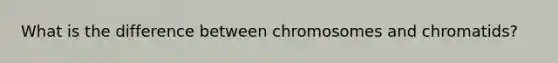 What is the difference between chromosomes and chromatids?