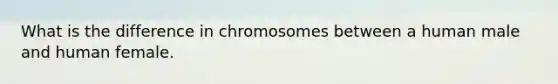 What is the difference in chromosomes between a human male and human female.