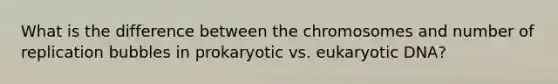 What is the difference between the chromosomes and number of replication bubbles in prokaryotic vs. eukaryotic DNA?