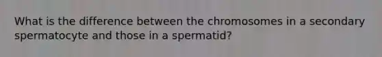 What is the difference between the chromosomes in a secondary spermatocyte and those in a spermatid?