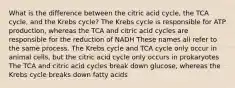 What is the difference between the citric acid cycle, the TCA cycle, and the Krebs cycle? The Krebs cycle is responsible for ATP production, whereas the TCA and citric acid cycles are responsible for the reduction of NADH These names all refer to the same process. The Krebs cycle and TCA cycle only occur in animal cells, but the citric acid cycle only occurs in prokaryotes The TCA and citric acid cycles break down glucose, whereas the Krebs cycle breaks down fatty acids