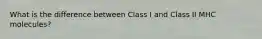 What is the difference between Class I and Class II MHC molecules?