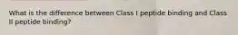 What is the difference between Class I peptide binding and Class II peptide binding?