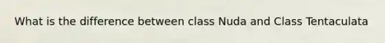 What is the difference between class Nuda and Class Tentaculata