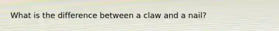 What is the difference between a claw and a nail?