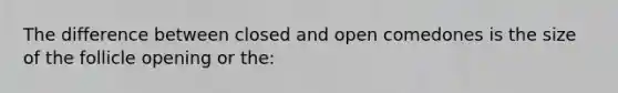 The difference between closed and open comedones is the size of the follicle opening or the: