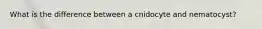 What is the difference between a cnidocyte and nematocyst?
