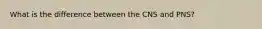 What is the difference between the CNS and PNS?