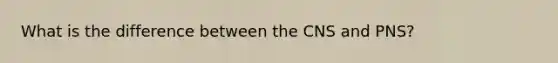 What is the difference between the CNS and PNS?