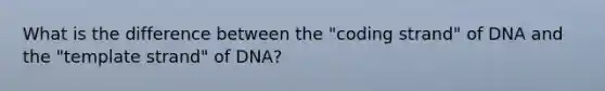 What is the difference between the "coding strand" of DNA and the "template strand" of DNA?