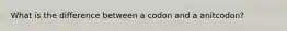 What is the difference between a codon and a anitcodon?