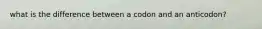 what is the difference between a codon and an anticodon?