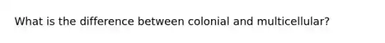 What is the difference between colonial and multicellular?