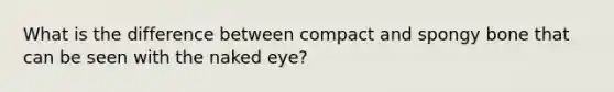 What is the difference between compact and spongy bone that can be seen with the naked eye?