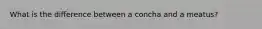 What is the difference between a concha and a meatus?