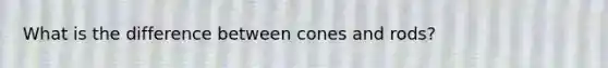 What is the difference between cones and rods?