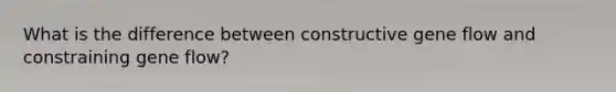 What is the difference between constructive gene flow and constraining gene flow?