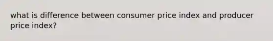 what is difference between consumer price index and producer price index?