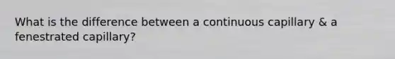 What is the difference between a continuous capillary & a fenestrated capillary?