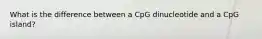 What is the difference between a CpG dinucleotide and a CpG island?